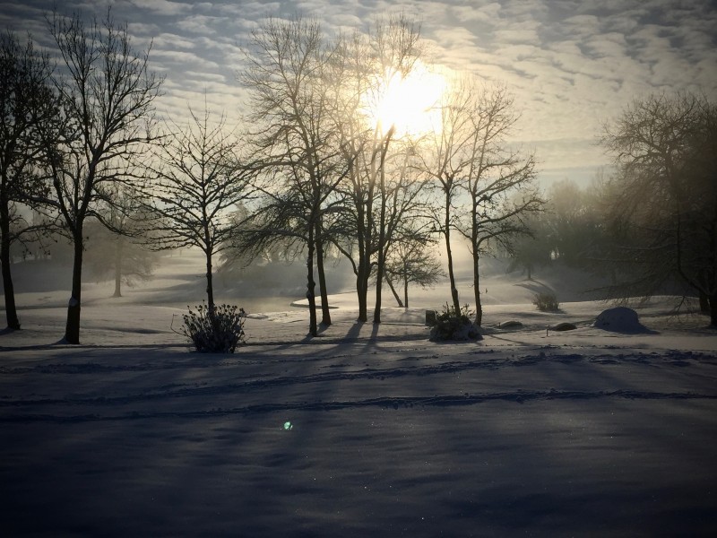 Accédez à la galerie photo