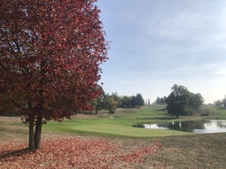  <a style='color: #fff;' href='/uploaded/photo/coupe-de-l-amitie-5bd2279433a7f.jpg'>(Télécharger)</a>