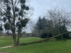  <a style='color: #fff;' href='/uploaded/photo/coupe-de-la-galette-2025-679605b91ac84.jpg'>(Télécharger)</a>