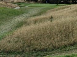  <a style='color: #fff;' href='/uploaded/photo/open-de-france-2022-63381dfe4991d.jpg'>(Télécharger)</a>