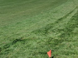  <a style='color: #fff;' href='/uploaded/photo/open-de-france-2022-63381e019f799.jpg'>(Télécharger)</a>