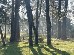  <a style='color: #fff;' href='/uploaded/photo/triple-couronne-21-mars-2026-69c56cd72411a.jpg'>(Télécharger)</a>